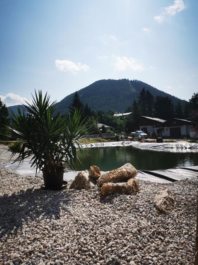 Fruehstueckspension Gasthof Gesslbauer Hotel Steinhaus am Semmering Ngoại thất bức ảnh