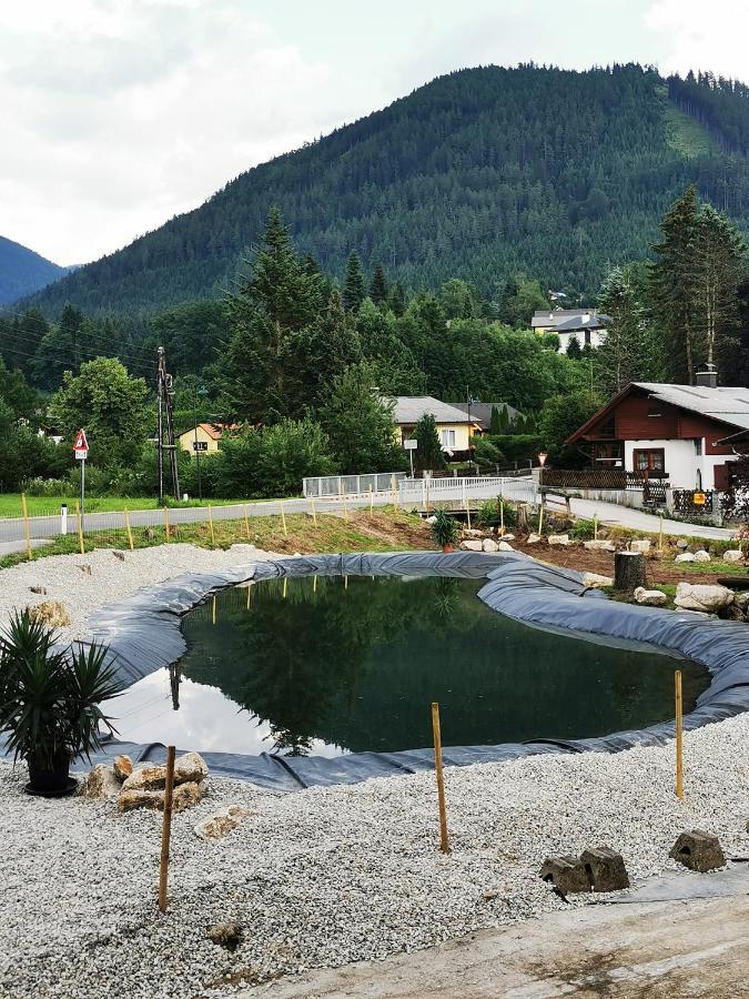 Fruehstueckspension Gasthof Gesslbauer Hotel Steinhaus am Semmering Ngoại thất bức ảnh