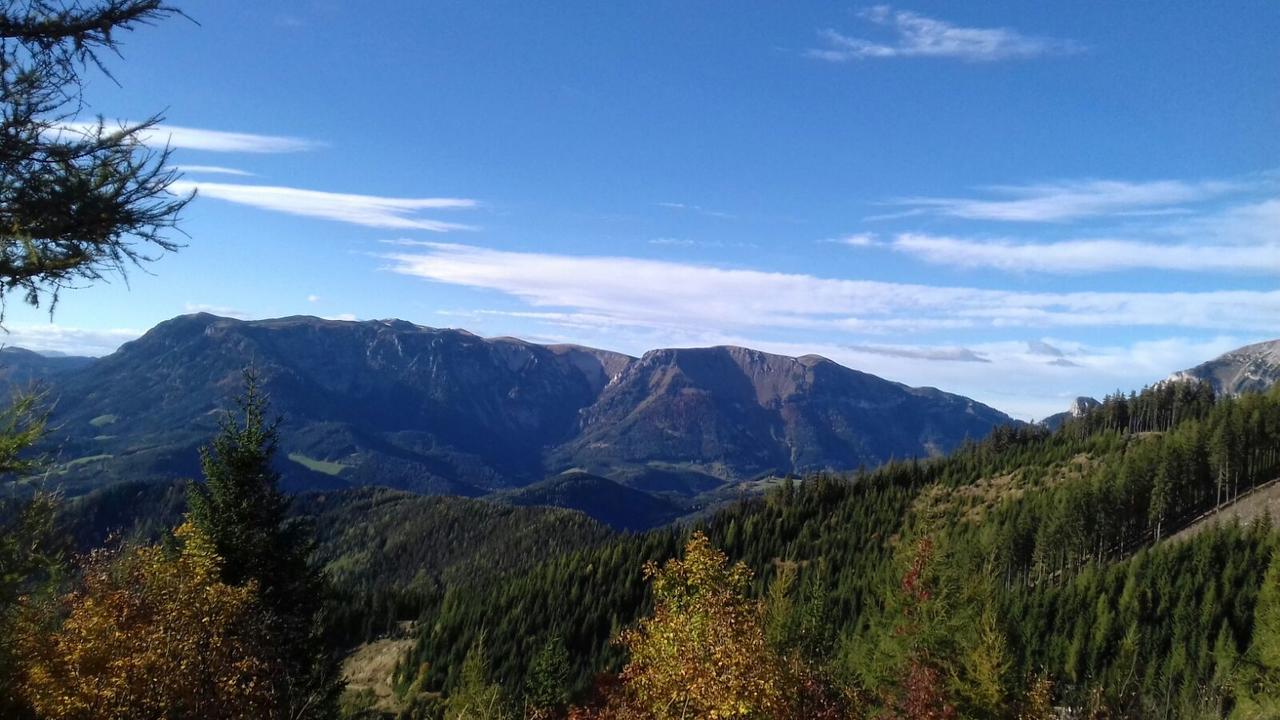 Fruehstueckspension Gasthof Gesslbauer Hotel Steinhaus am Semmering Ngoại thất bức ảnh