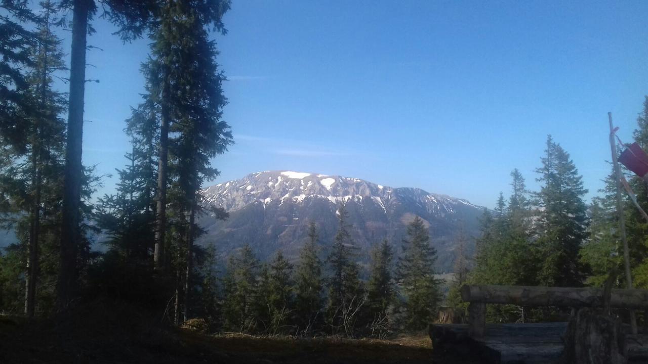 Fruehstueckspension Gasthof Gesslbauer Hotel Steinhaus am Semmering Ngoại thất bức ảnh